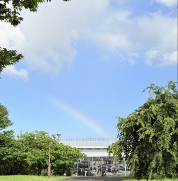 2026-08-07 07:22の投稿写真 1