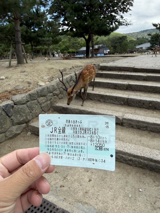 2026-08-14 11:19の投稿写真 1