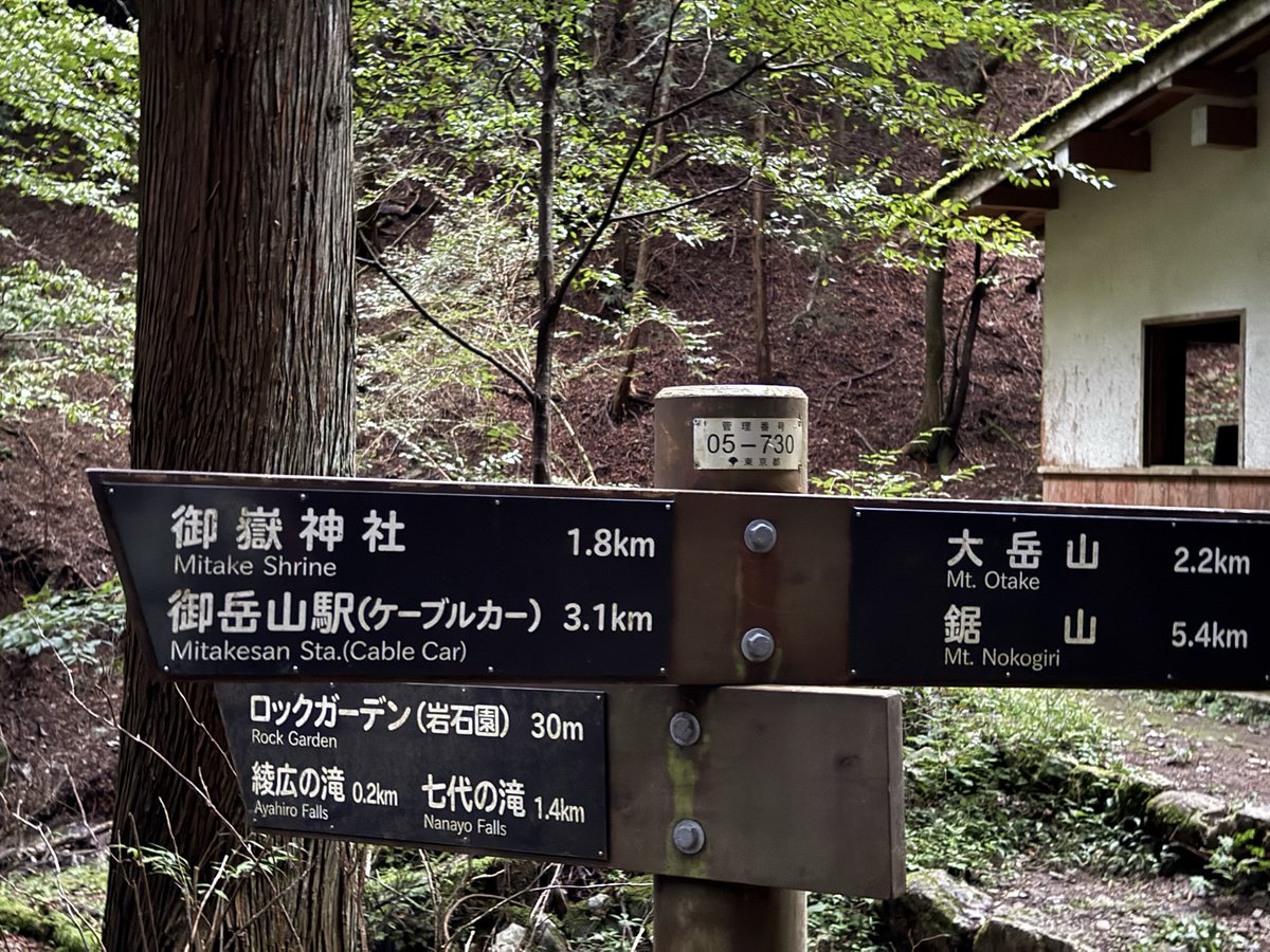 2026-10-03 18:09の投稿写真 2