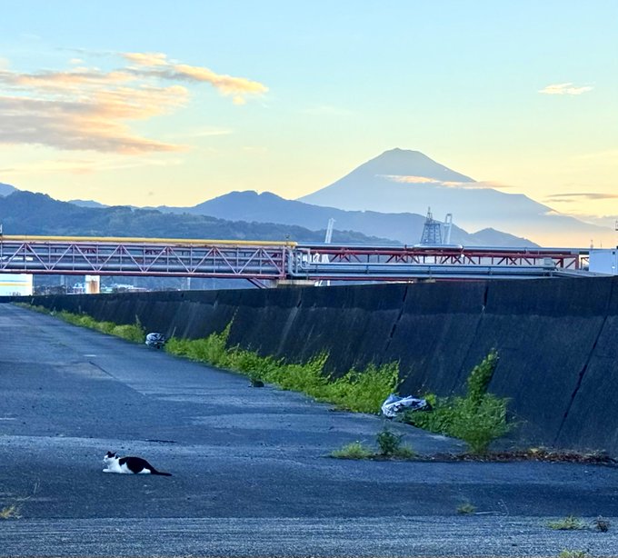 2026-08-18 06:57の投稿写真 1