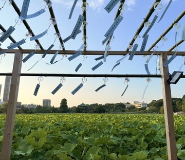2026-07-20 18:21の投稿写真 1