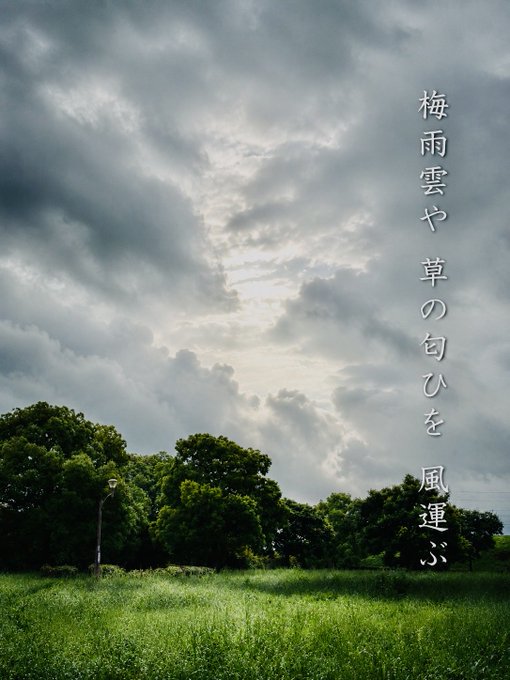 2026-07-05 06:59の投稿写真 1