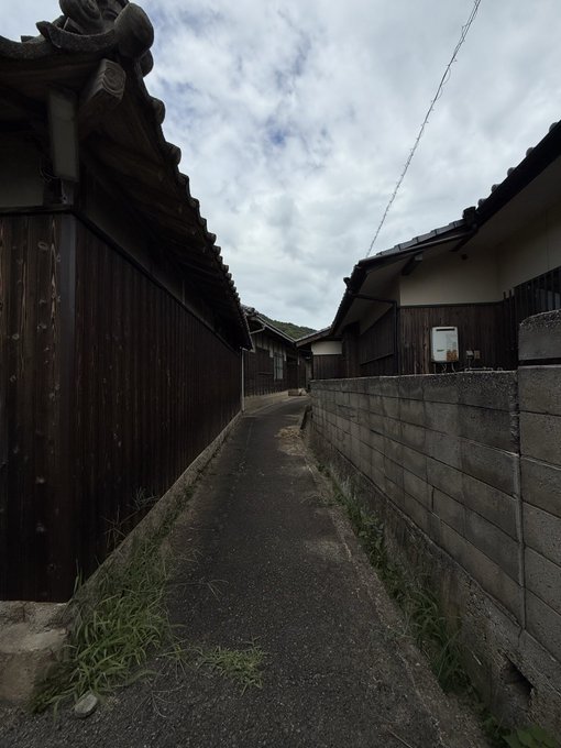 2026-08-12 11:45の投稿写真 3