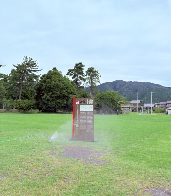2026-08-11 09:48の投稿写真 1