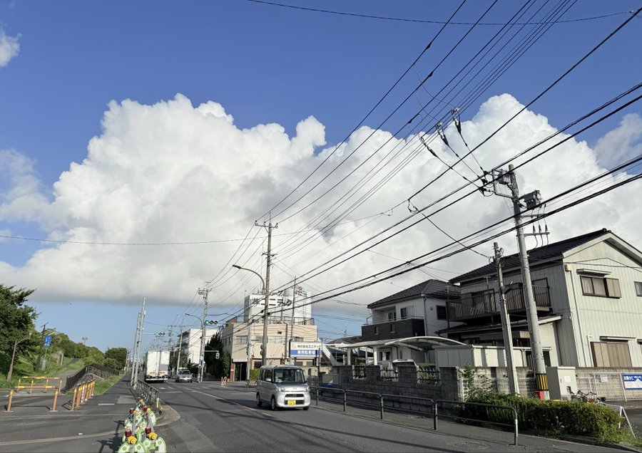 2026-08-07 06:56の投稿写真 3