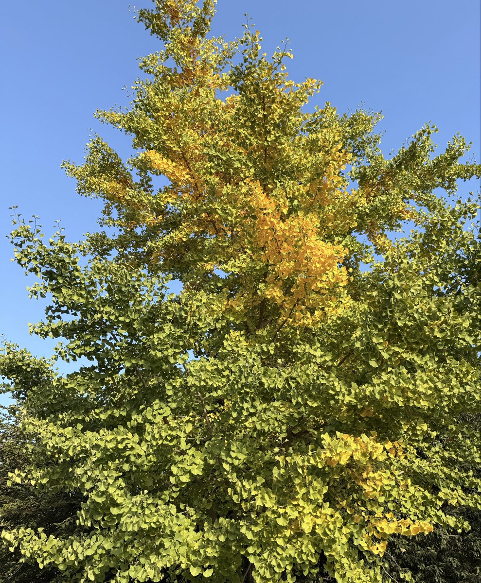 2026-10-16 07:29の投稿写真 1