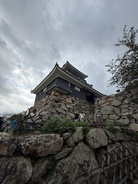 2026-08-10 14:53の投稿写真 2