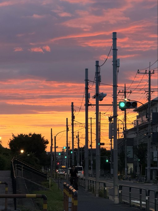 2026-07-29 19:10の投稿写真 1