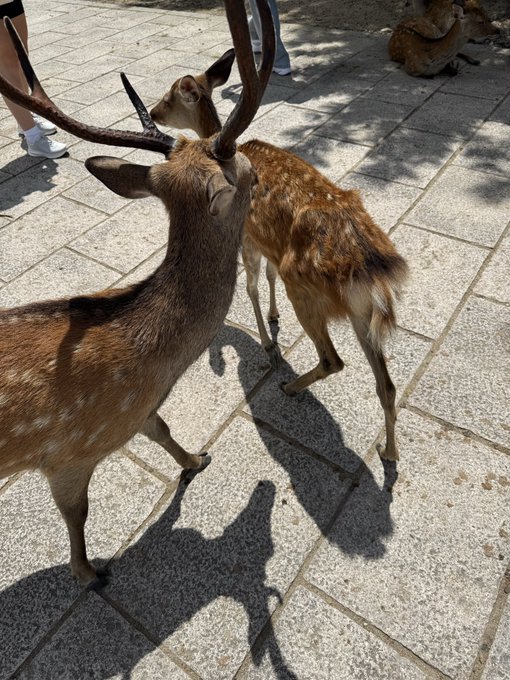 2026-08-14 11:19の投稿写真 3