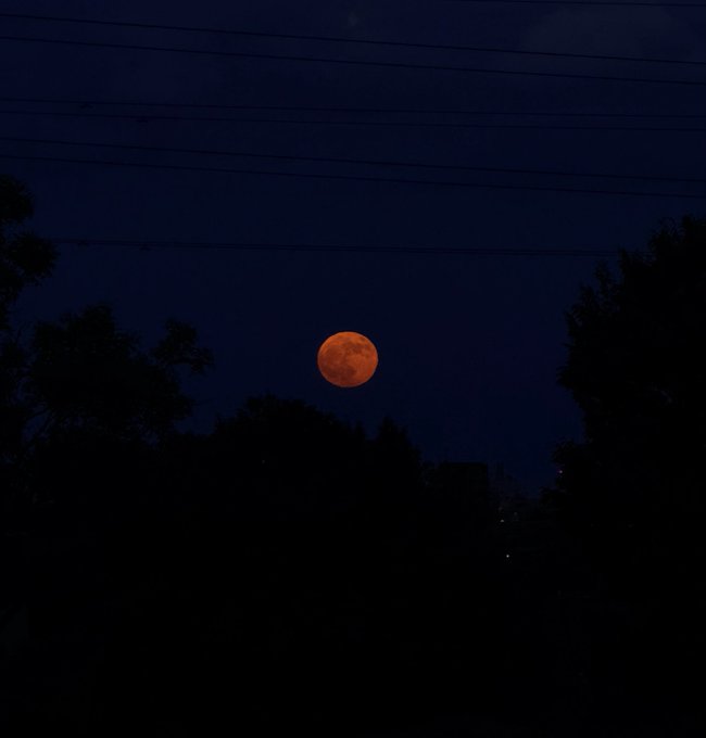 2026-07-29 19:10の投稿写真 4