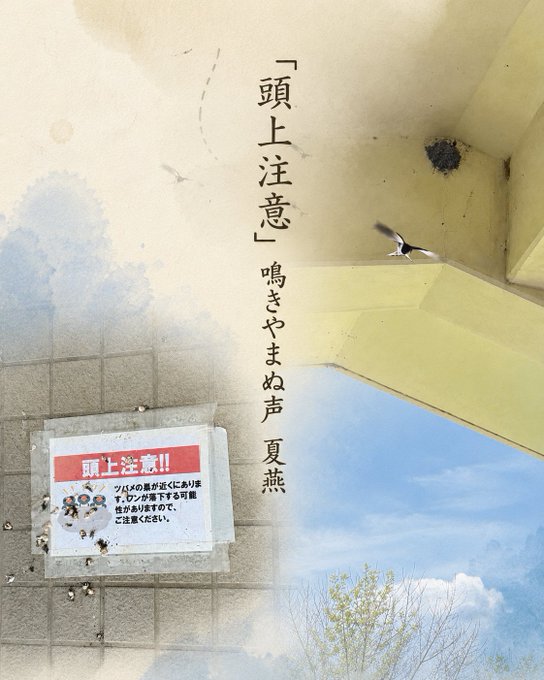 2026-07-14 08:00の投稿写真 1